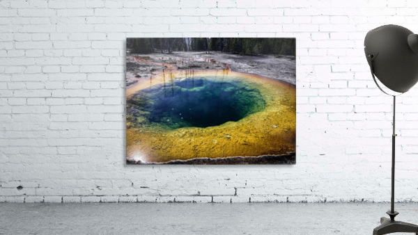 Morning Glory Wall Preview