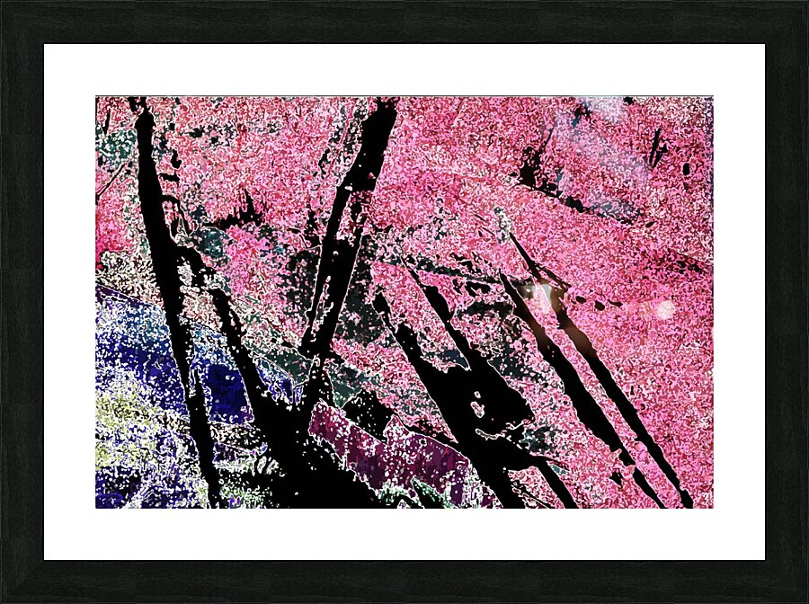 pink sherbet Picture Frame print