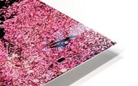 pink sherbet HD Metal print