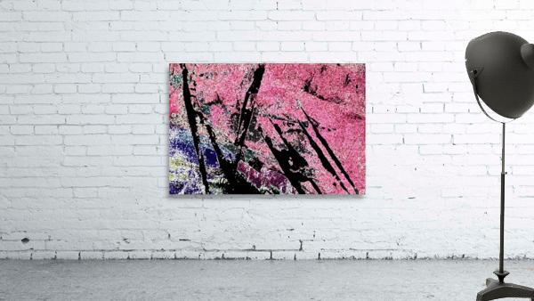 pink sherbet Wall Preview