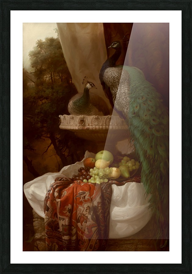Peacocks Picture Frame print
