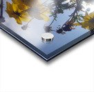 Flowers and Sky Acrylic print