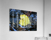 Floating Autumn Leaf Acrylic Print