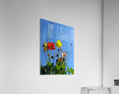 Spring Sky Garden Acrylic Print