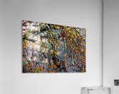 Intricate Autmn Acrylic Print