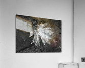 The Lone Leaf Acrylic Print