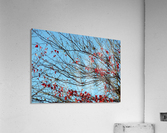 Autumn Winter 1 Acrylic Print