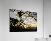 Silhouetted Seattle Sunset Acrylic Print