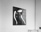 The Freeze Acrylic Print