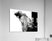Breaking Free Acrylic Print