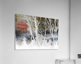 Buried Pain Acrylic Print