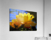 Midnight Garden Flower Acrylic Print