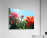 Garden Flowers  Acrylic Print