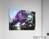 Starry Sky Flower 2 Acrylic Print