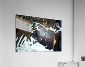 BiPolar Acrylic Print