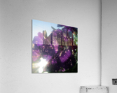 Starry Sky Flower 6 Acrylic Print