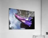 Floating Starry Sky Flower Acrylic Print