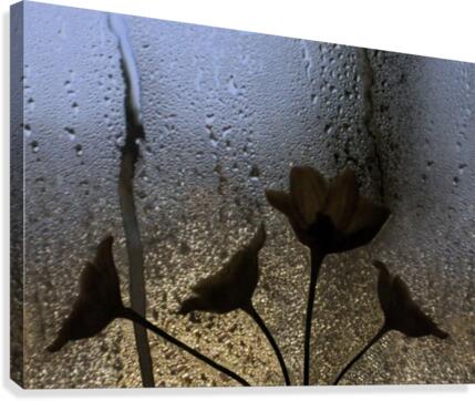 Abstract Rain Flowers Canvas Print