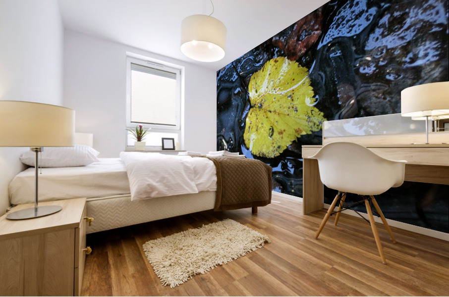 Floating Autumn Leaf Mural print