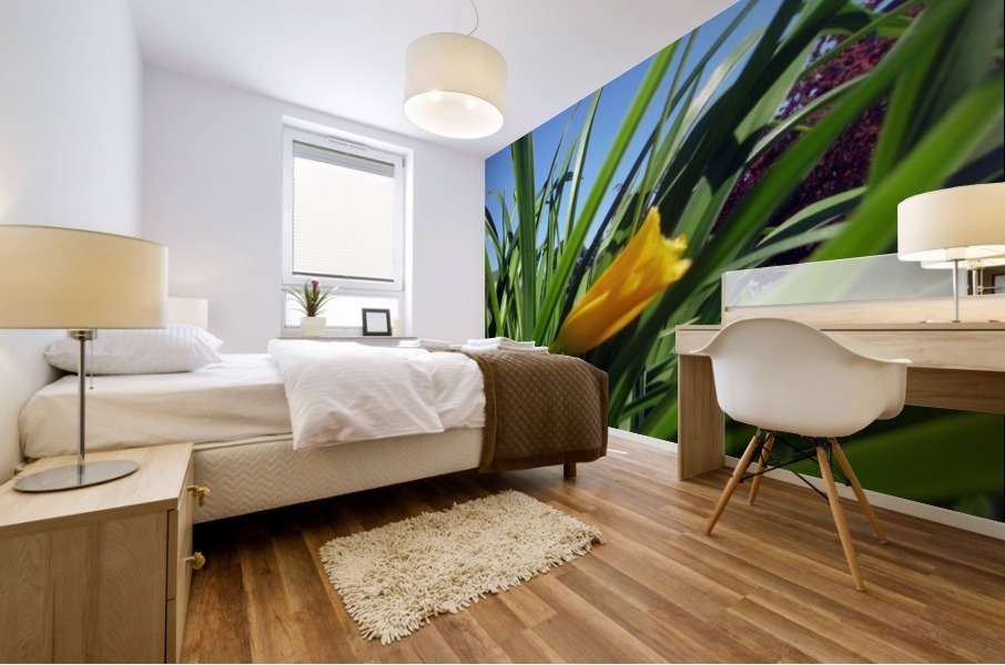 Yellow spring Flower Mural print