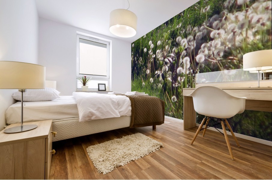Sunlit Dandelions Mural print