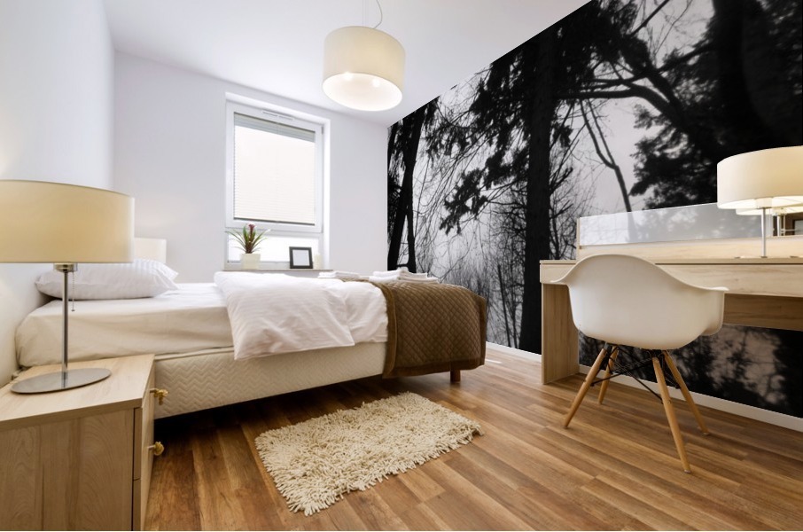 Where  Secrets Sleep Mural print