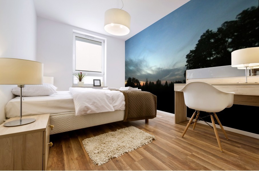 Blue Dusk Mural print