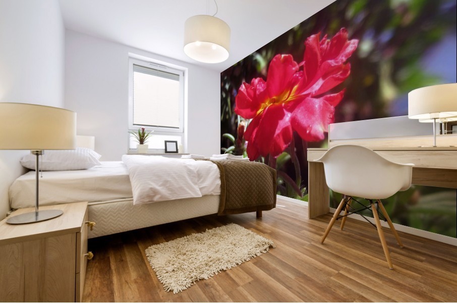 Red Summer Flower 3 Mural print