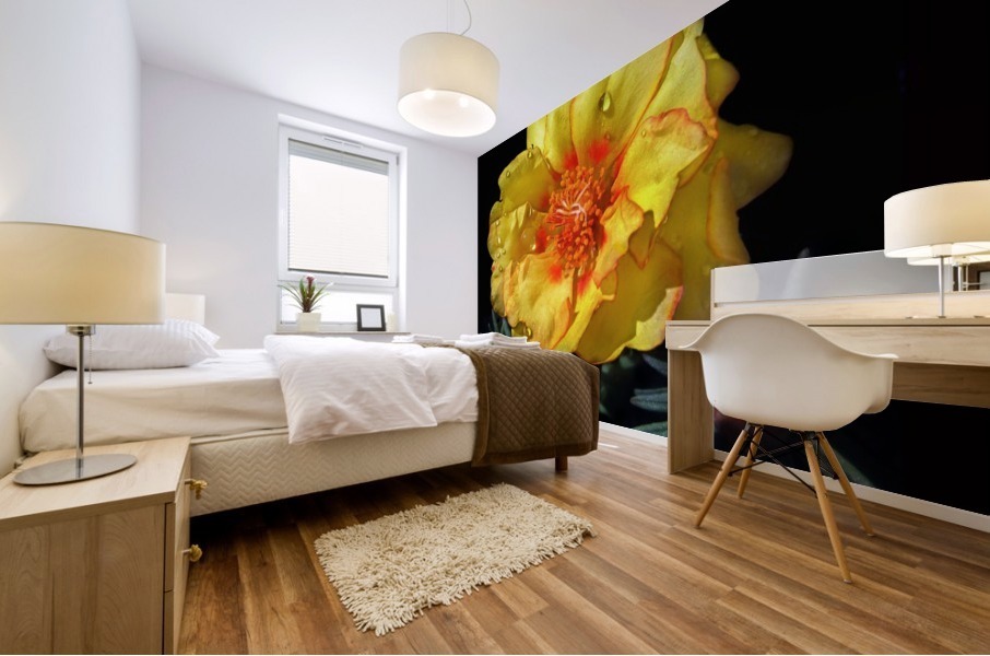 Dew Drop Flower Mural print