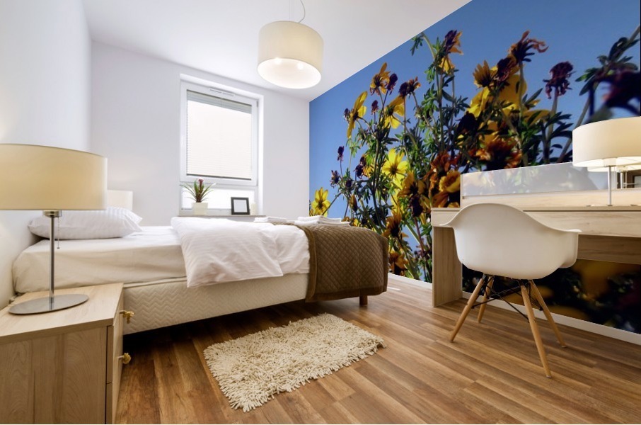 Summer Sky Flowers Mural print
