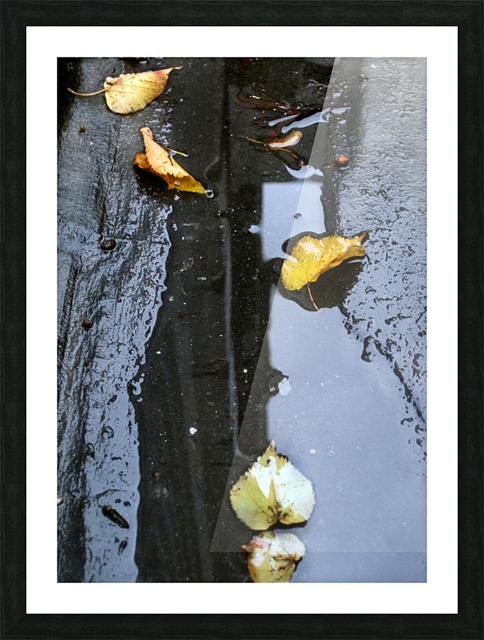 Floating Autumn Leaves Picture Frame print