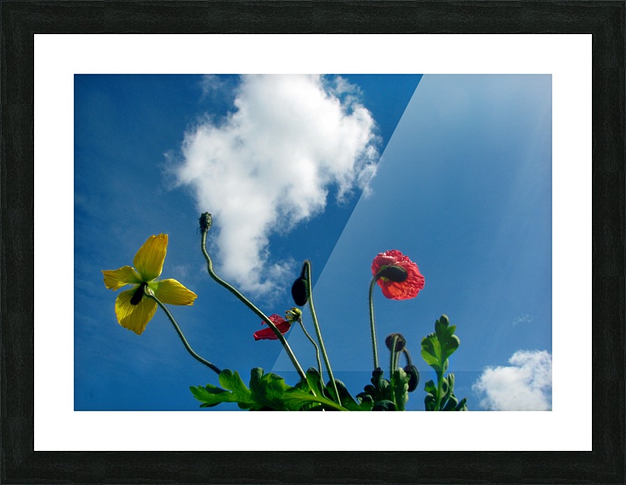 Happy Spring Flowers Picture Frame print