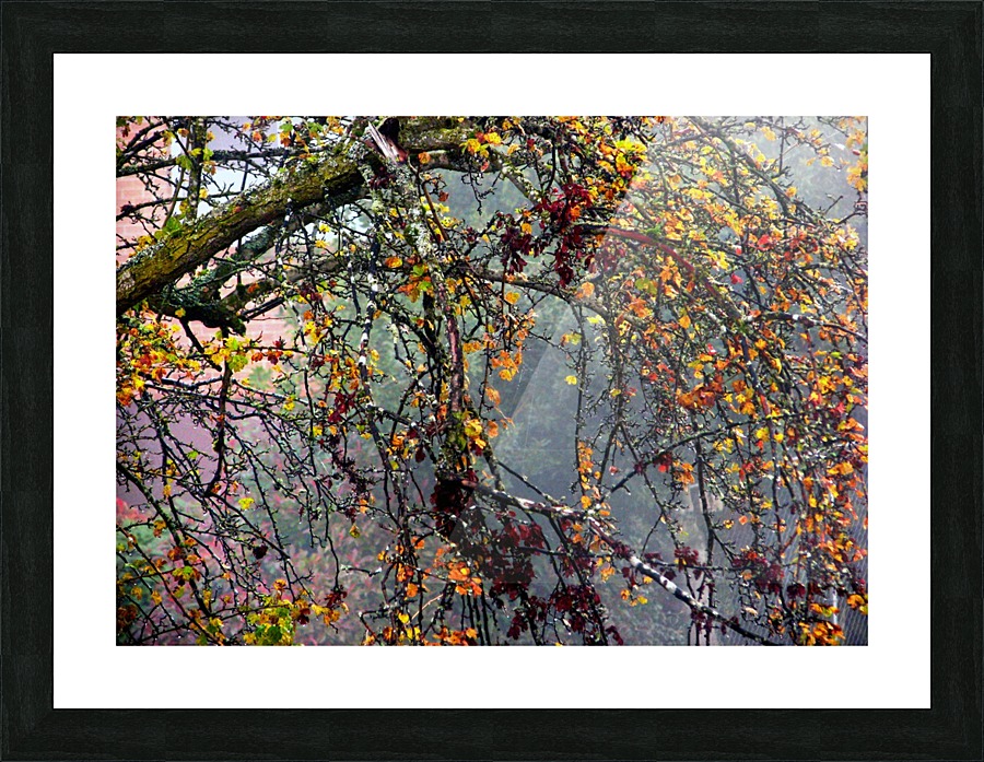 Intricate Autmn Picture Frame print