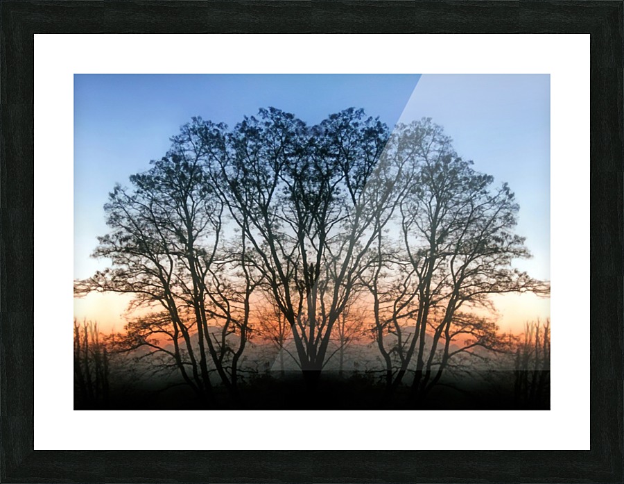 Abstract Tree Sunrise Picture Frame print
