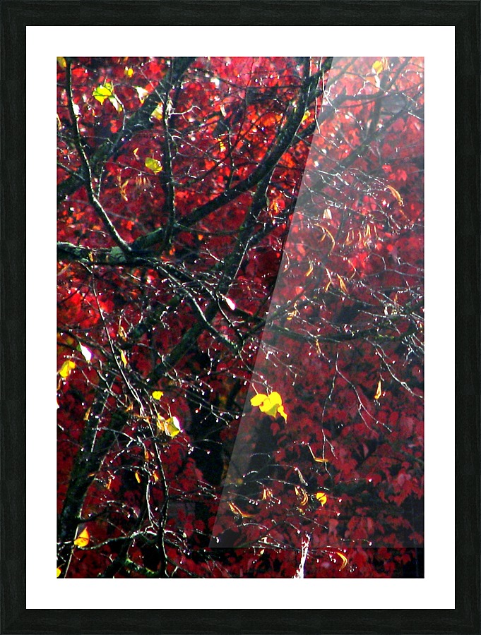 Red Tree Abstract Picture Frame print