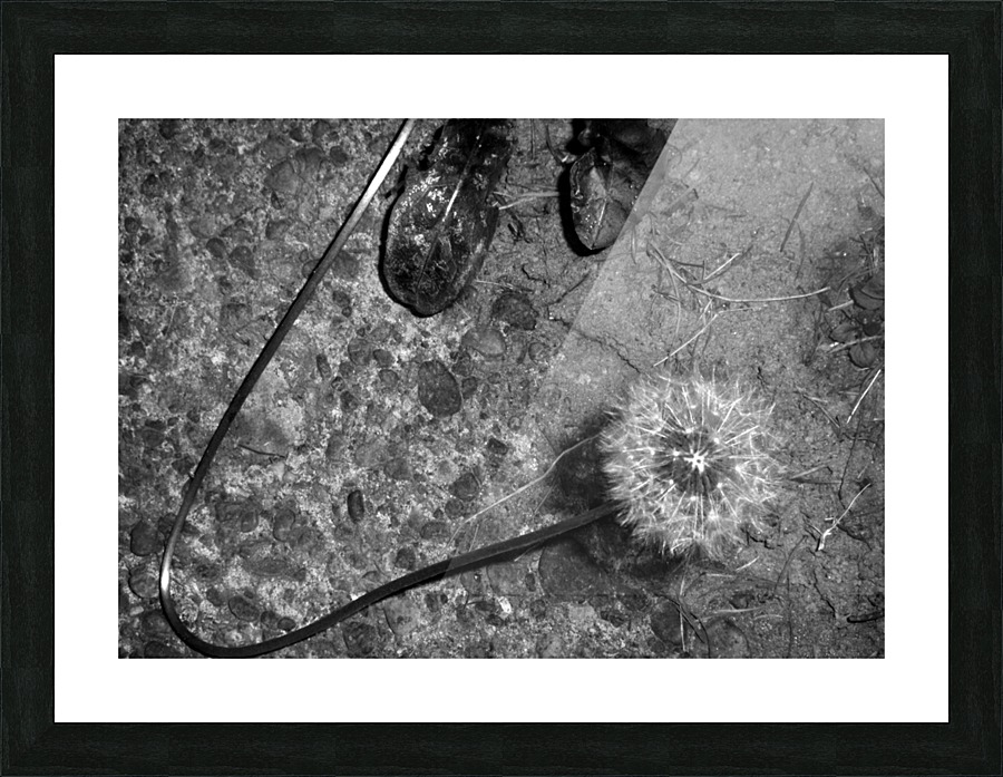 Abstract Dandelion Picture Frame print