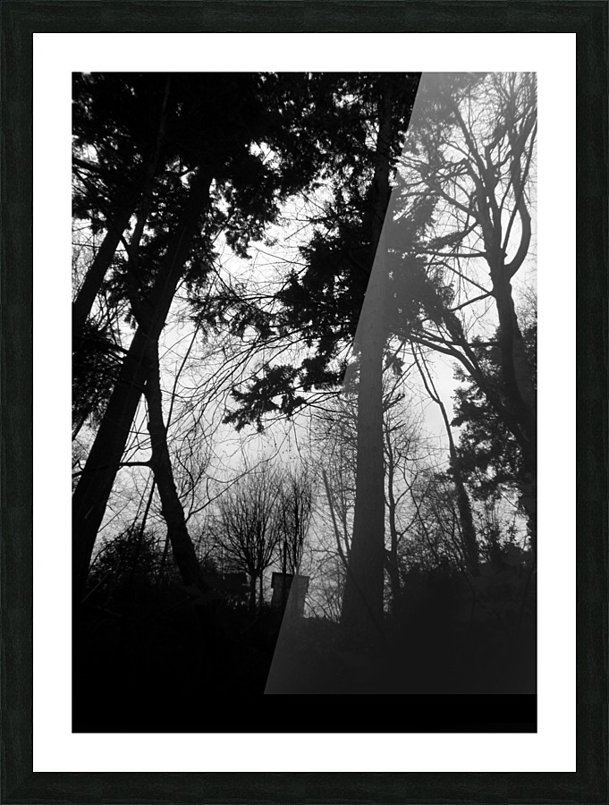 Where  Secrets Sleep Picture Frame print