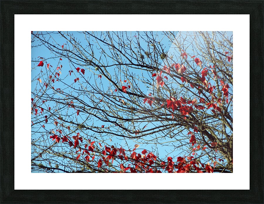 Autumn Winter 1 Picture Frame print