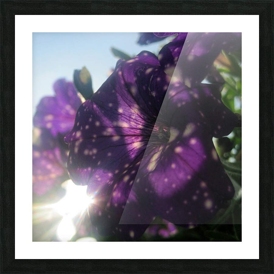 Starry Sky Flower 6 Picture Frame print