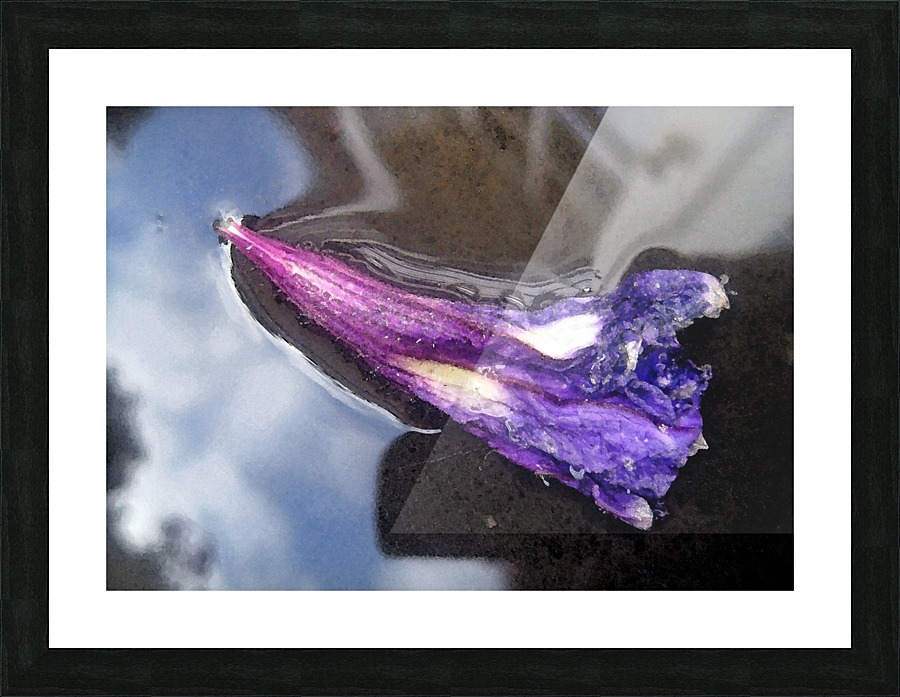 Floating Starry Sky Flower Picture Frame print