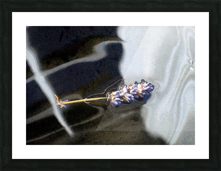 Floating Lavender 2 Picture Frame print