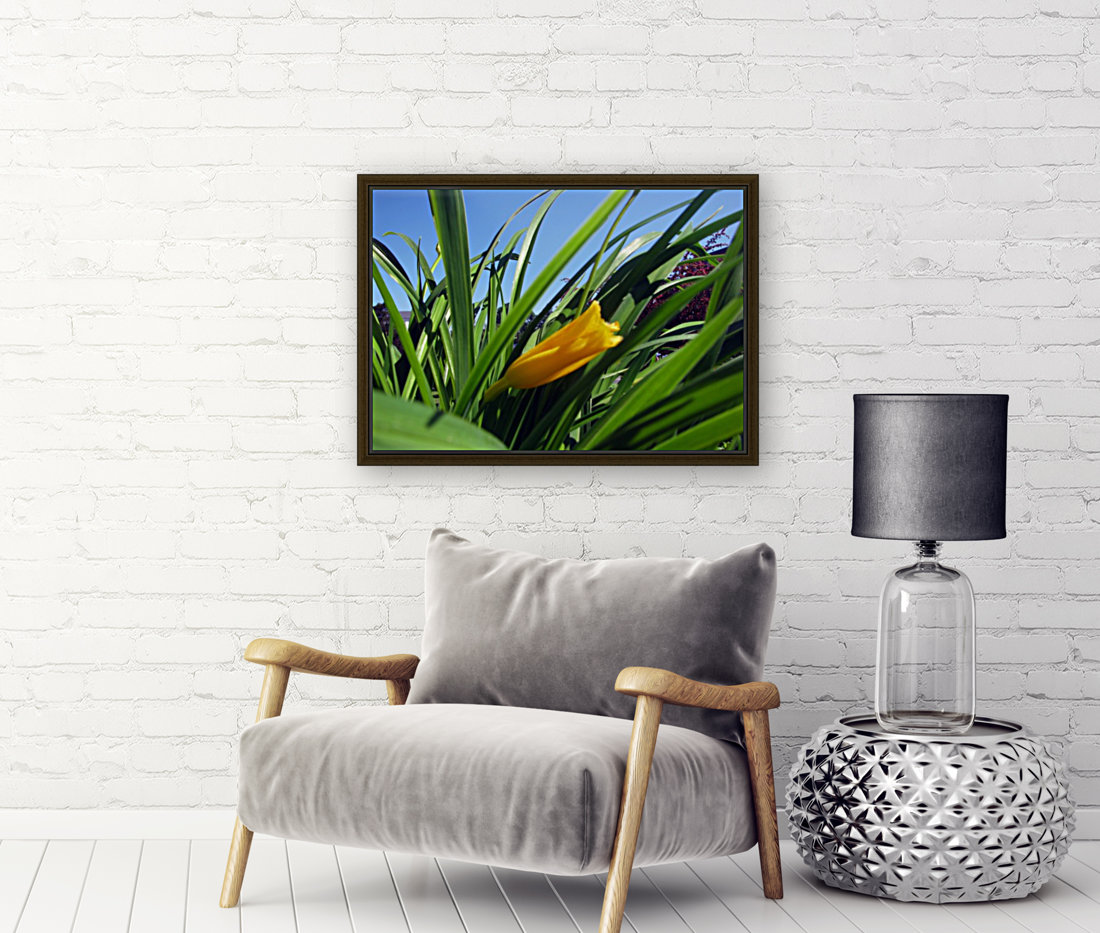 Yellow spring Flower Reproduction