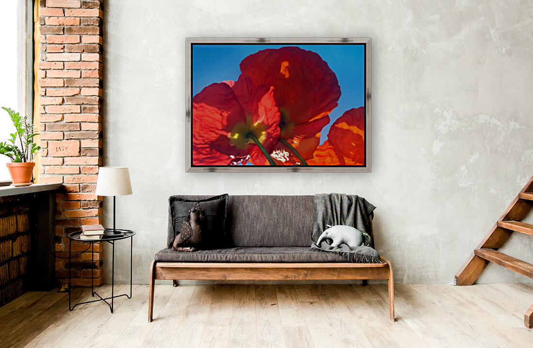 Red Poppy Sky Reproduction