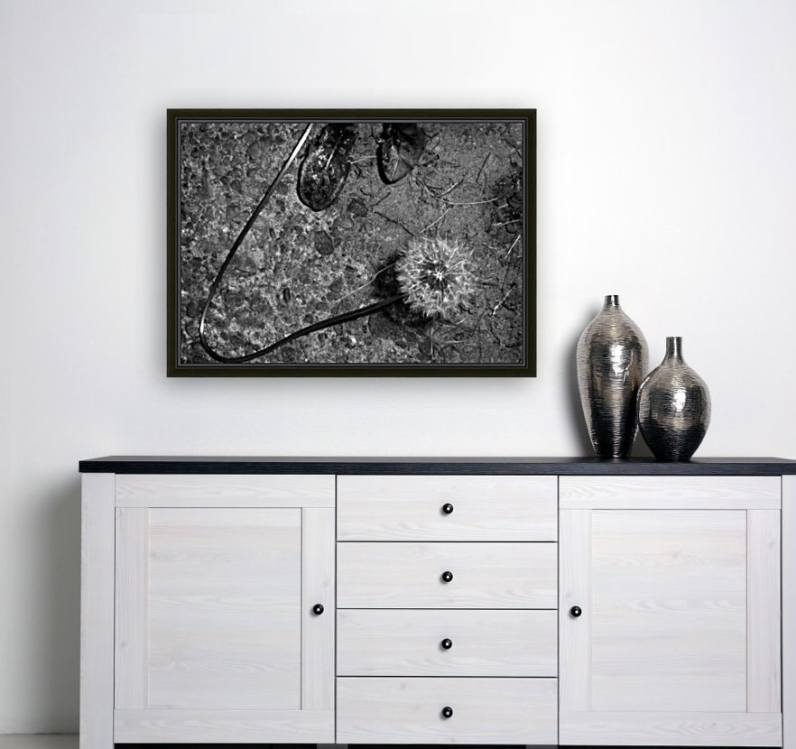 Abstract Dandelion Reproduction