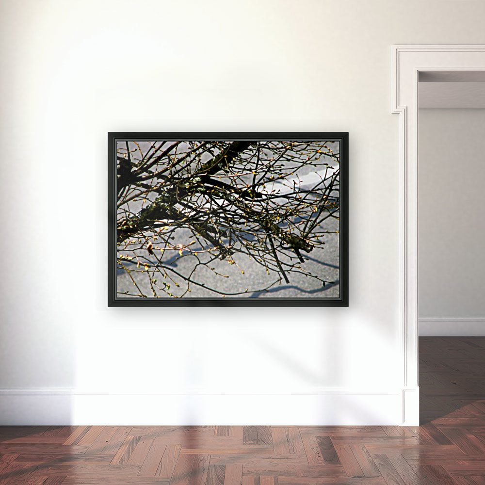 Barren Branches Reproduction