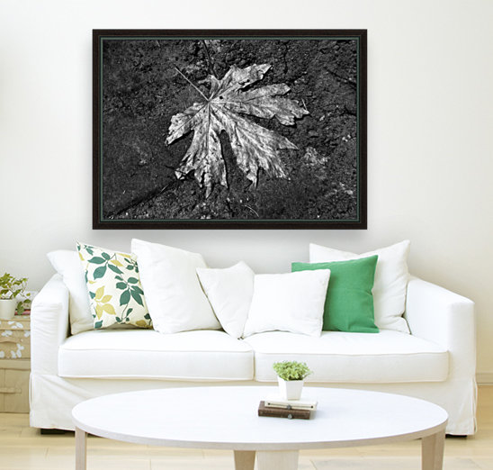 The Lone Leaf Reproduction