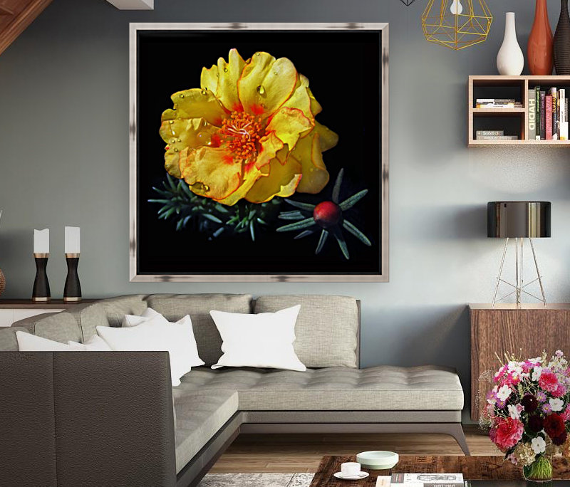 Dew Drop Flower Reproduction