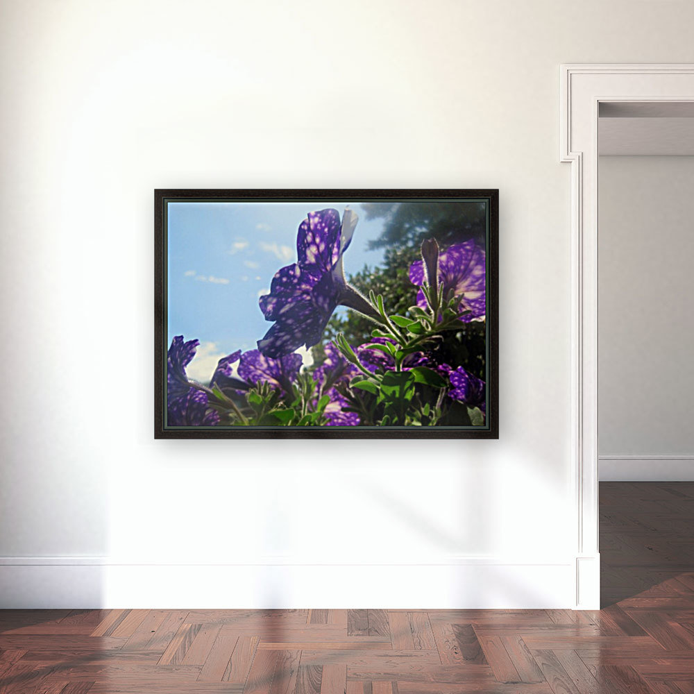 Violet Flowers 3 Reproduction