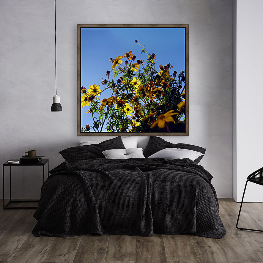 Summer Sky Flowers Reproduction