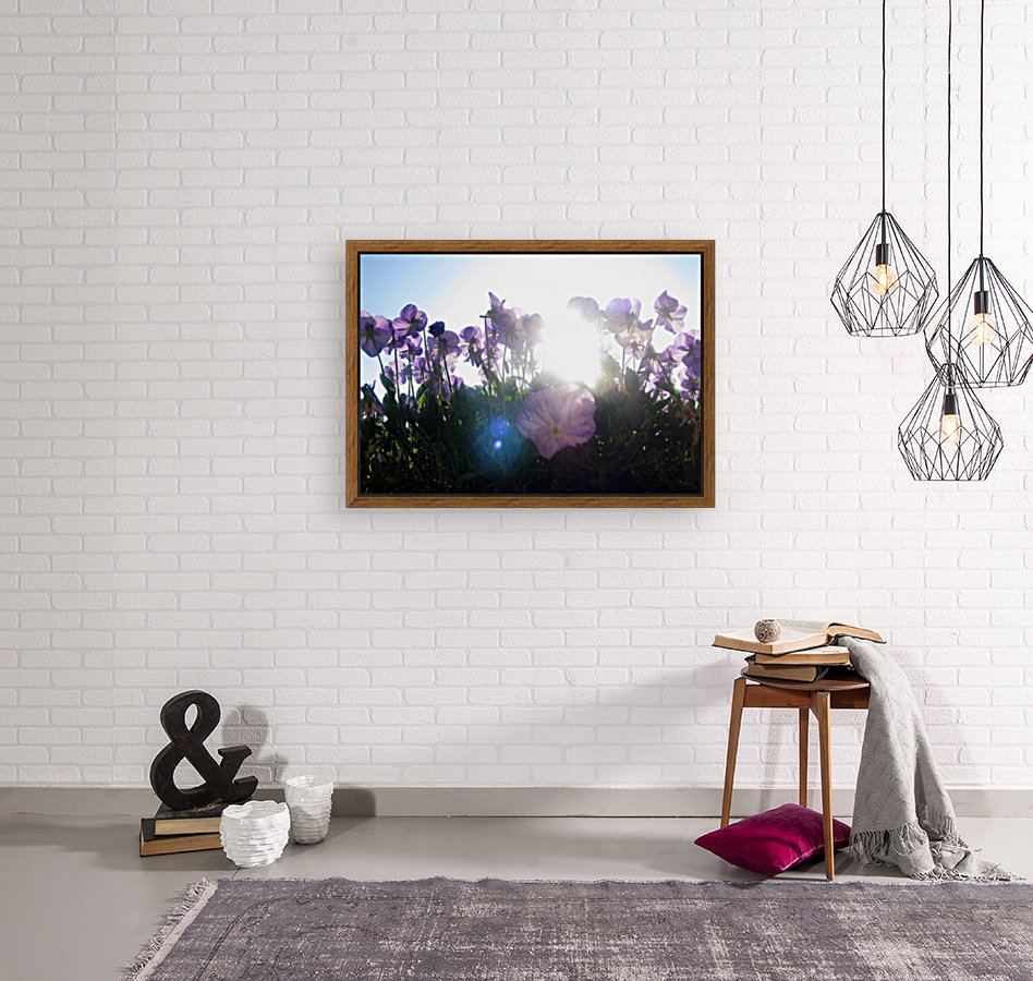 Sun-Drenched Flowers Reproduction